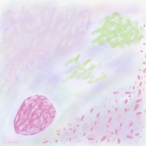 いちごの魅力🍓