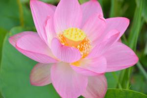 充分 頑張った！