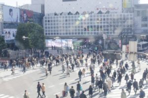 意外と見ていて観られていない